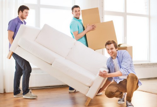Removal boxes and protective wrapping for fragile items